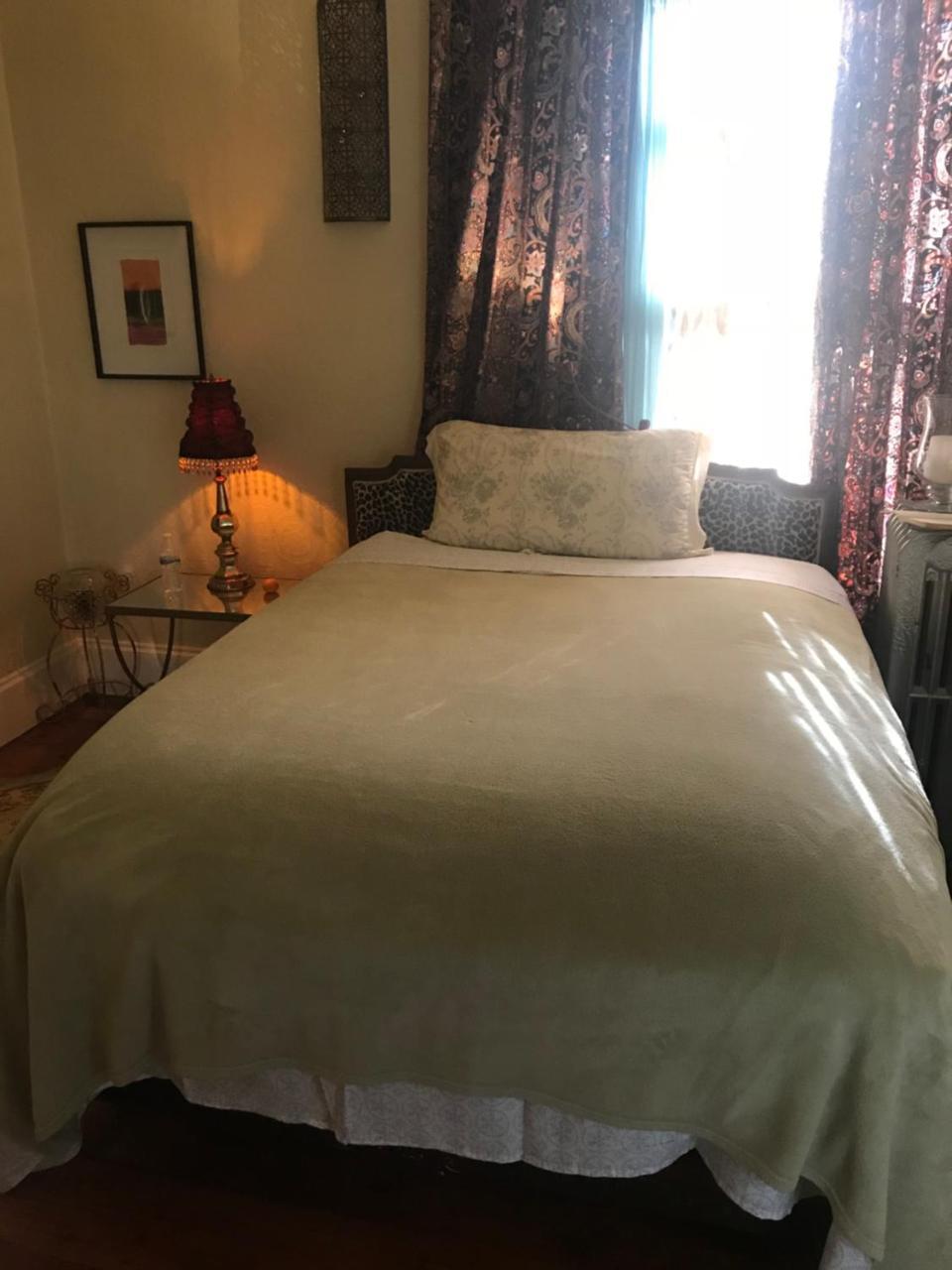 Bel'S Inn Bed And Breakfast Kingston Extérieur photo